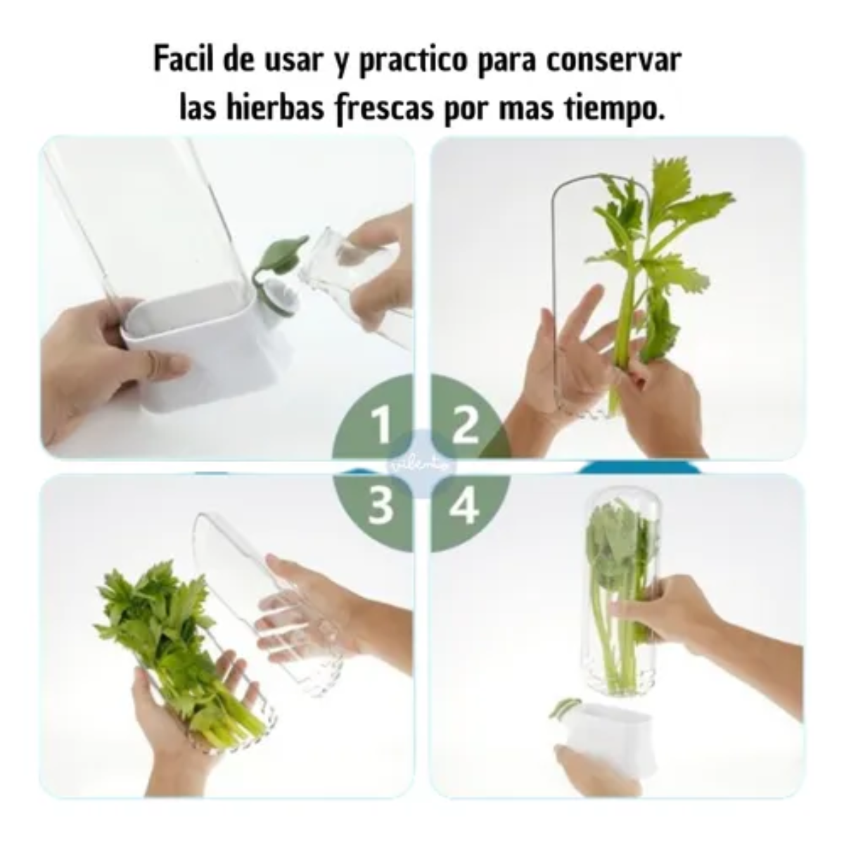 Miniatura 3 de Recipiente almacenamiento para verduras
